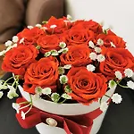 Apartman Jaama *